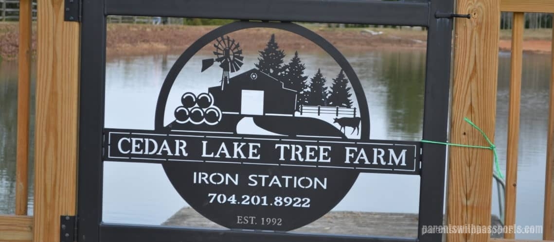 Cedar Lake Tree Farm Parents With Passports   DSC 0135 1139x498 